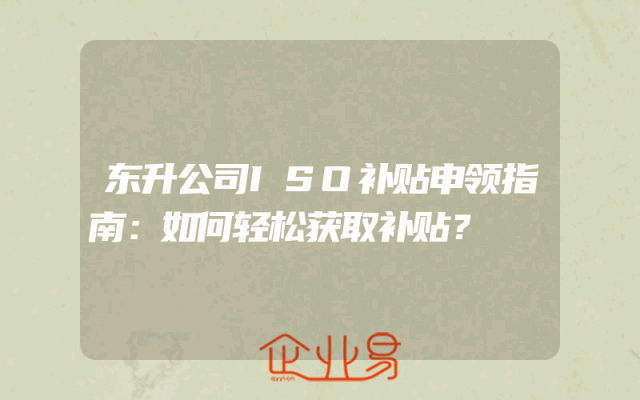 东升公司ISO补贴申领指南：如何轻松获取补贴？