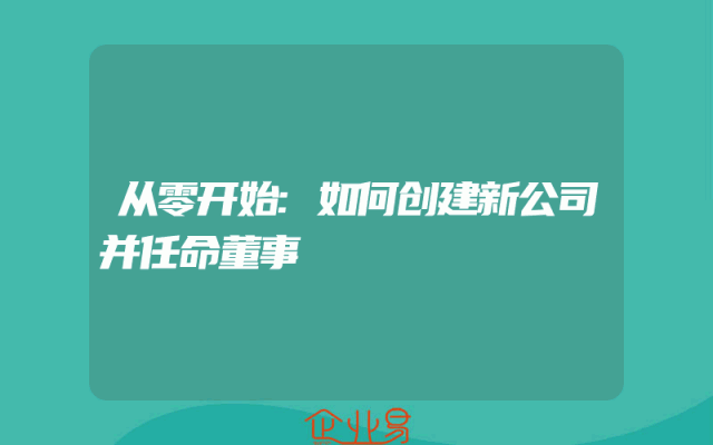 从零开始:如何创建新公司并任命董事