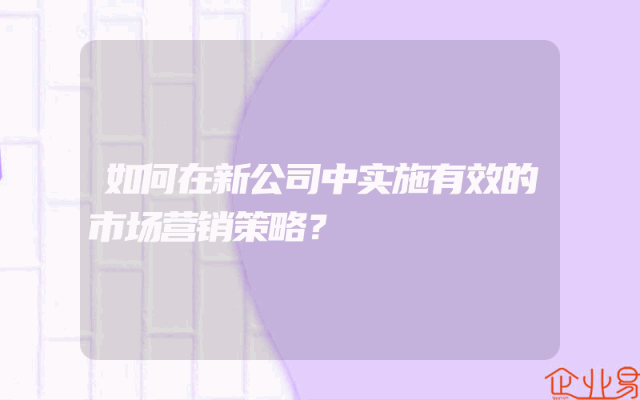 如何在新公司中实施有效的市场营销策略？