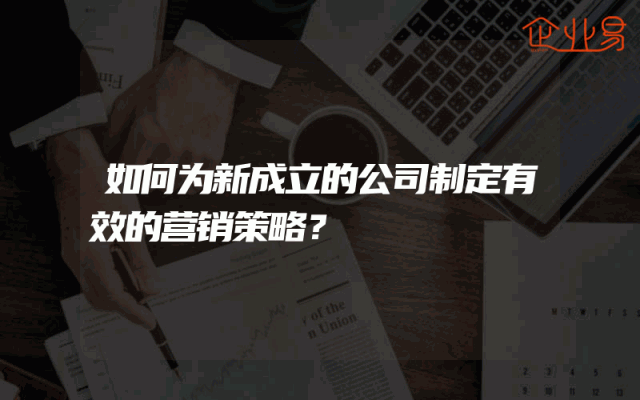 如何为新成立的公司制定有效的营销策略？
