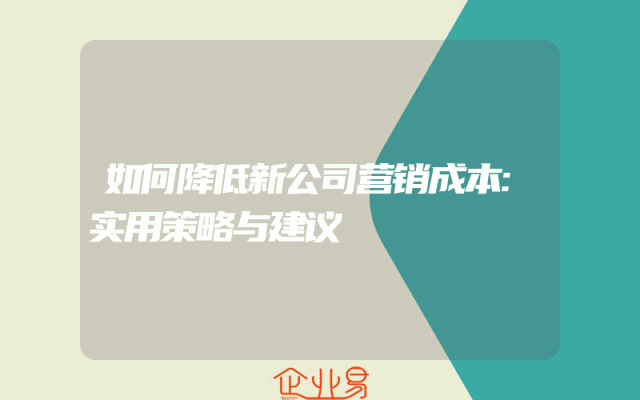 如何降低新公司营销成本:实用策略与建议