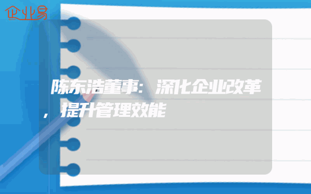陈东浩董事:深化企业改革,提升管理效能