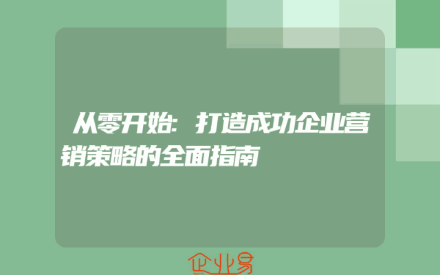从零开始:打造成功企业营销策略的全面指南