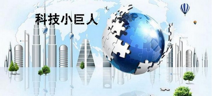 吉林省科技小巨人企业RD投入补贴和贷款担保管理工作实施细则 2018.10.15