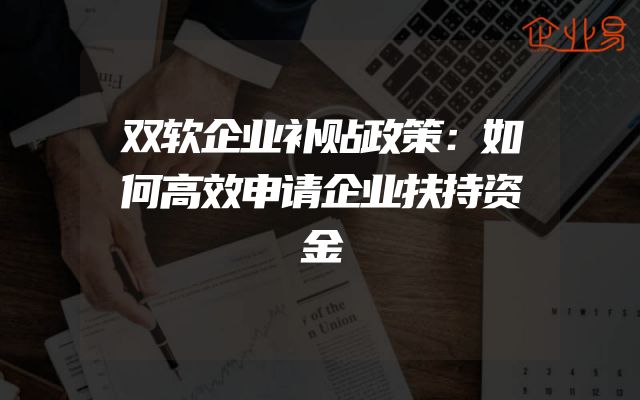 双软企业补贴政策：如何高效申请企业扶持资金