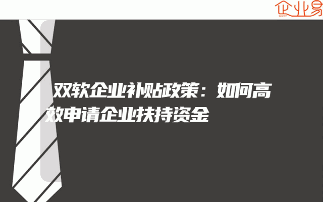 双软企业补贴政策：如何高效申请企业扶持资金