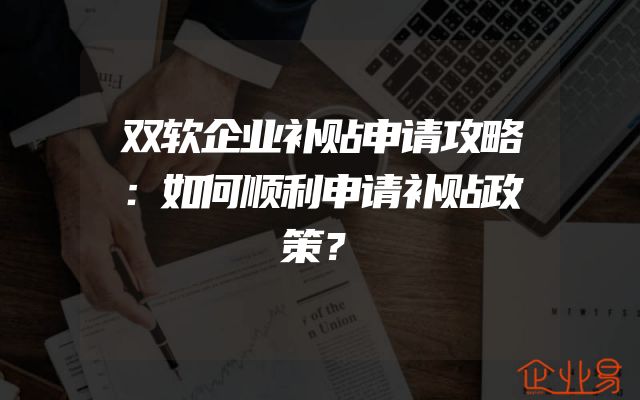 双软企业补贴申请攻略：如何顺利申请补贴政策？