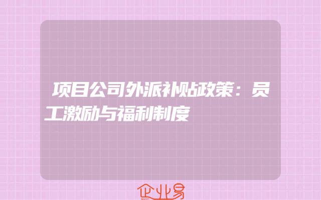 项目公司外派补贴政策:员工激励与福利制度
