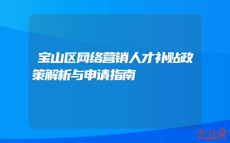 宝山区网络营销人才补贴政策解析与申请指南