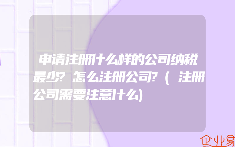 申请注册什么样的公司纳税最少?怎么注册公司?(注册公司需要注意什么)