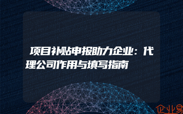项目补贴申报助力企业:代理公司作用与填写指南