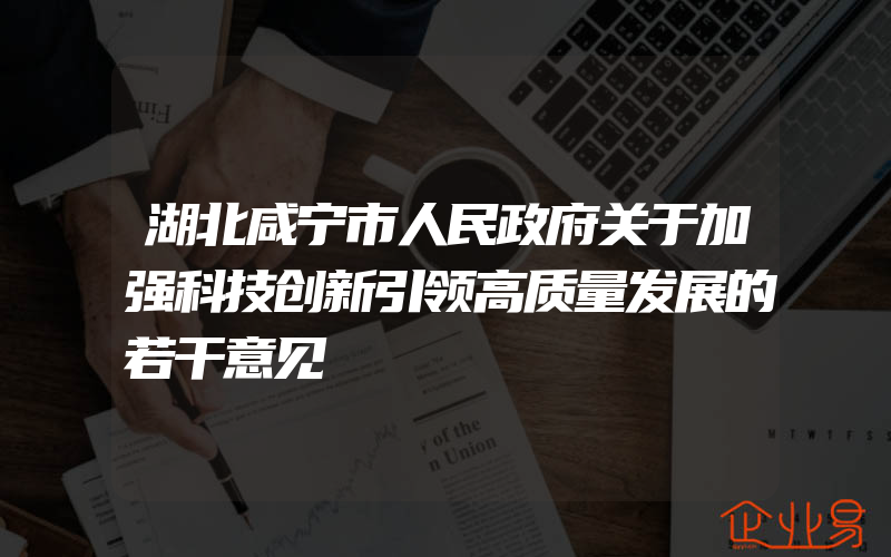 湖北咸宁市人民政府关于加强科技创新引领高质量发展的若干意见