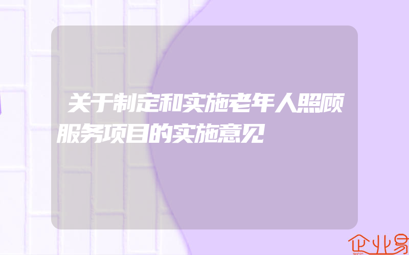 关于制定和实施老年人照顾服务项目的实施意见