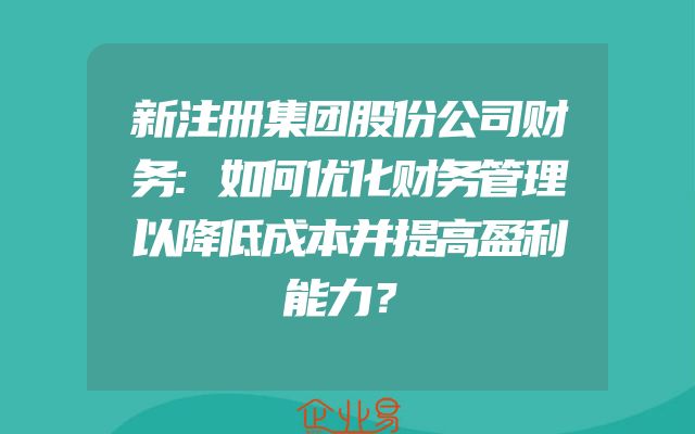 新注册集团股份公司财务:如何优化财务管理以降低成本并提高盈利能力？
