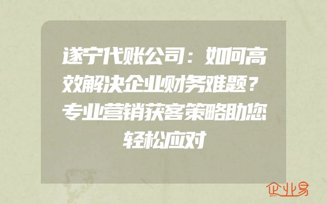 遂宁代账公司：如何高效解决企业财务难题？专业营销获客策略助您轻松应对
