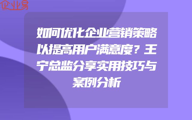 如何优化企业营销策略以提高用户满意度？王宁总监分享实用技巧与案例分析