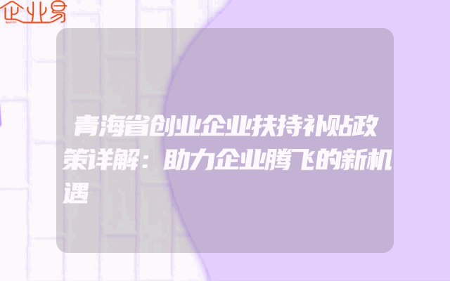 青海省创业企业扶持补贴政策详解：助力企业腾飞的新机遇