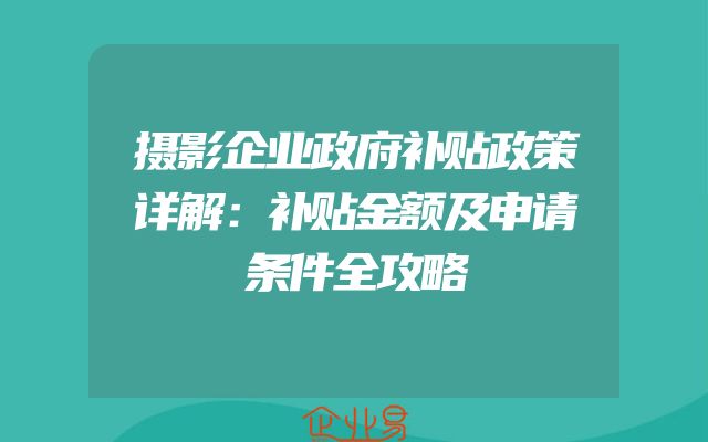 摄影企业政府补贴政策详解：补贴金额及申请条件全攻略