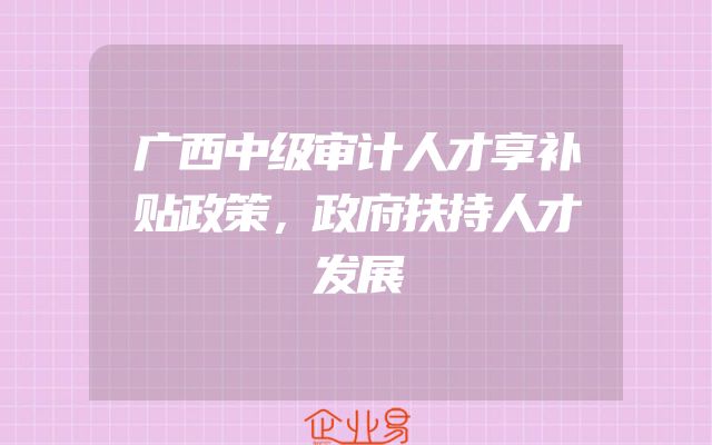 广西中级审计人才享补贴政策，政府扶持人才发展