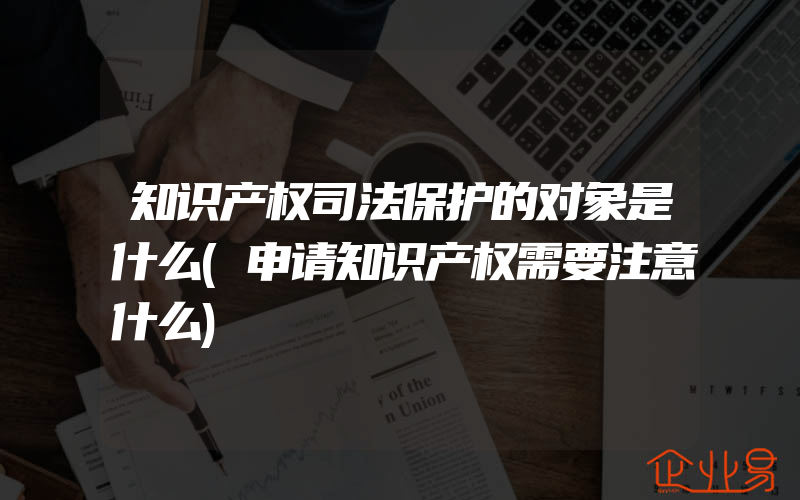 知识产权司法保护的对象是什么(申请知识产权需要注意什么)