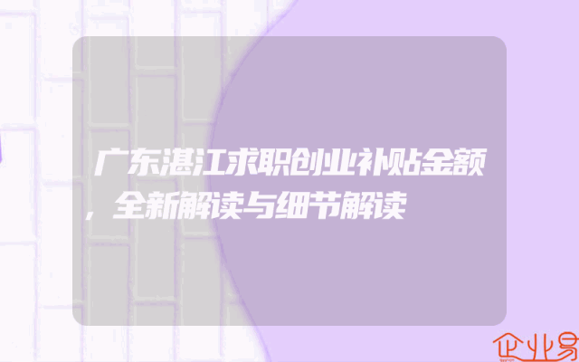 广东湛江求职创业补贴金额，全新解读与细节解读