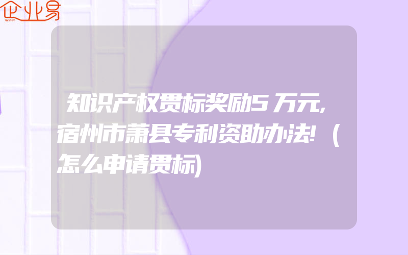 知识产权贯标奖励5万元,宿州市萧县专利资助办法!(怎么申请贯标)