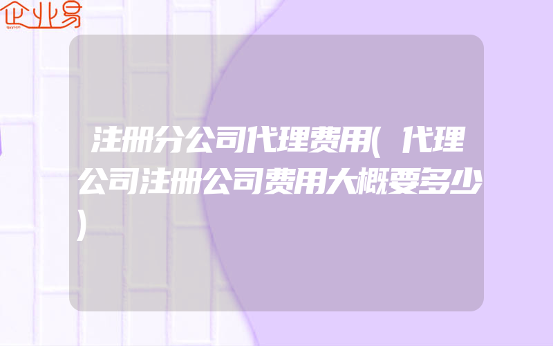 注册分公司代理费用(代理公司注册公司费用大概要多少)