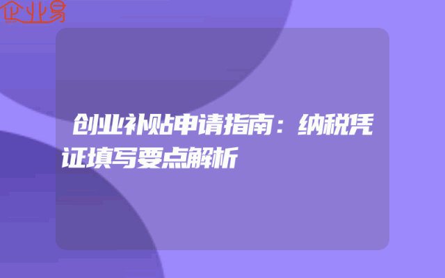 创业补贴申请指南：纳税凭证填写要点解析