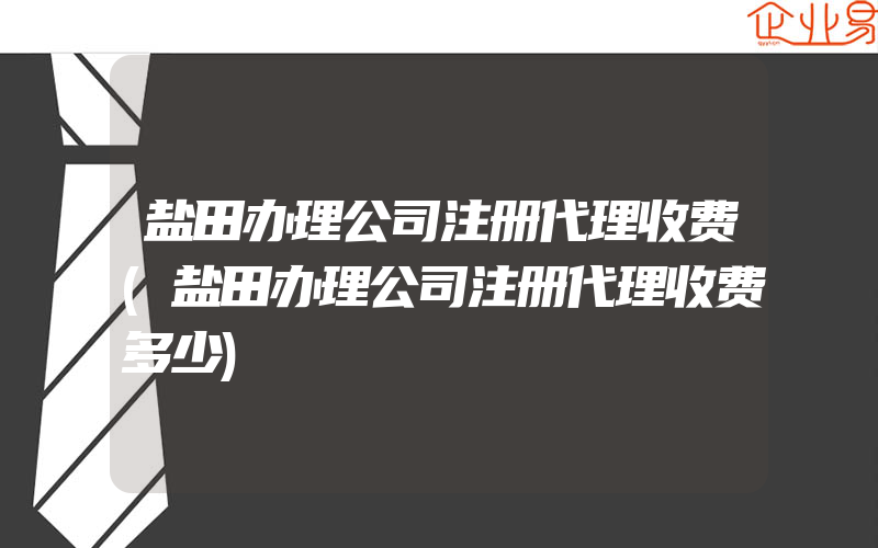 盐田办理公司注册代理收费(盐田办理公司注册代理收费多少)