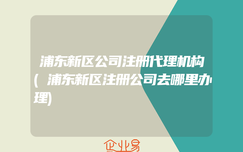 浦东新区公司注册代理机构(浦东新区注册公司去哪里办理)