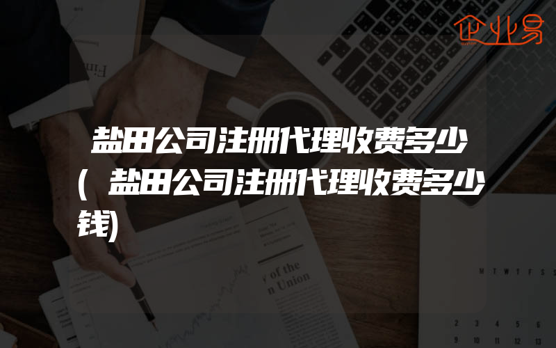盐田公司注册代理收费多少(盐田公司注册代理收费多少钱)