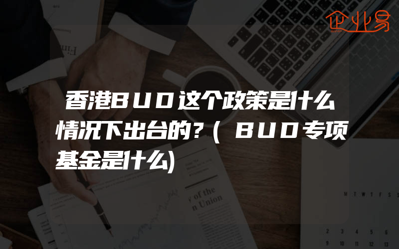 香港BUD这个政策是什么情况下出台的？(BUD专项基金是什么)