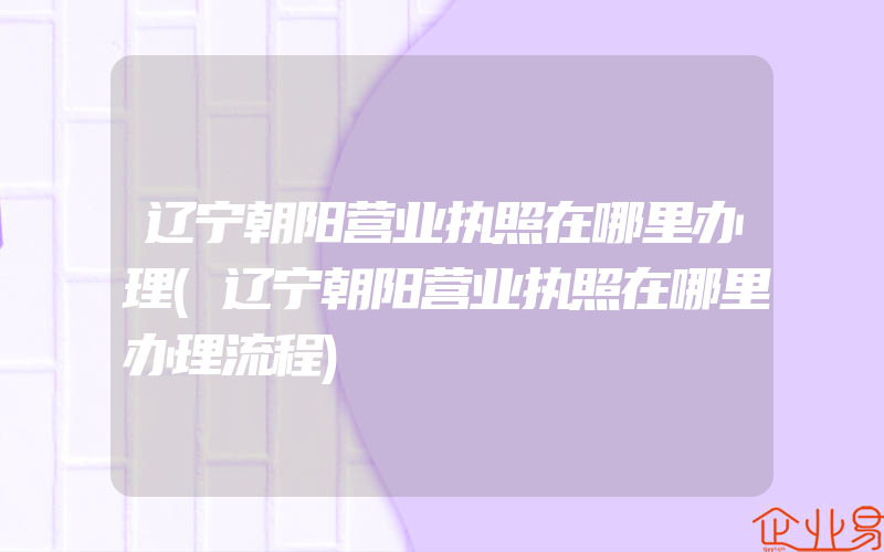 辽宁朝阳营业执照在哪里办理(辽宁朝阳营业执照在哪里办理流程)