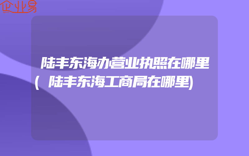 陆丰东海办营业执照在哪里(陆丰东海工商局在哪里)