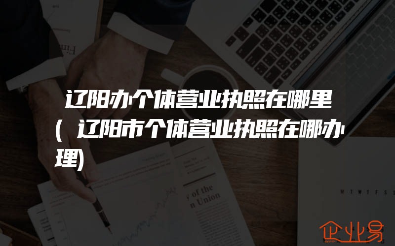 辽阳办个体营业执照在哪里(辽阳市个体营业执照在哪办理)