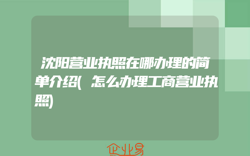 沈阳营业执照在哪办理的简单介绍(怎么办理工商营业执照)