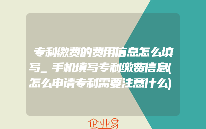 专利缴费的费用信息怎么填写_手机填写专利缴费信息(怎么申请专利需要注意什么)