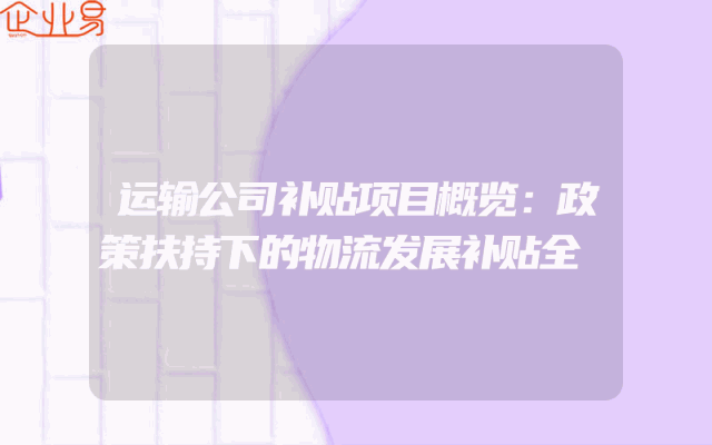 运输公司补贴项目概览：政策扶持下的物流发展补贴全解析