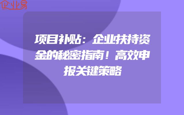 项目补贴：企业扶持资金的秘密指南！高效申报关键策略