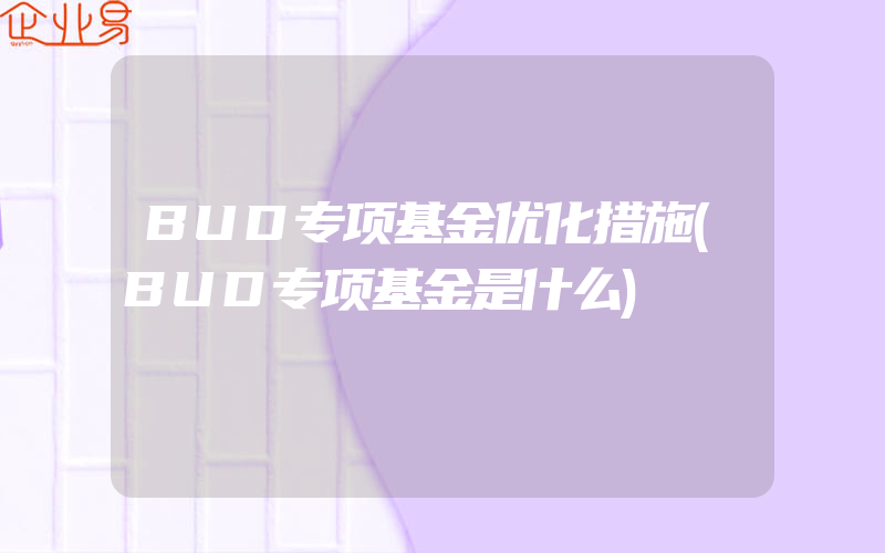 BUD专项基金优化措施(BUD专项基金是什么)