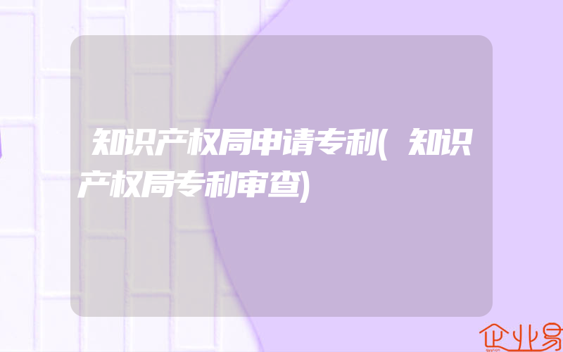 知识产权局申请专利(知识产权局专利审查)