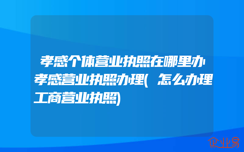 孝感个体营业执照在哪里办孝感营业执照办理(怎么办理工商营业执照)