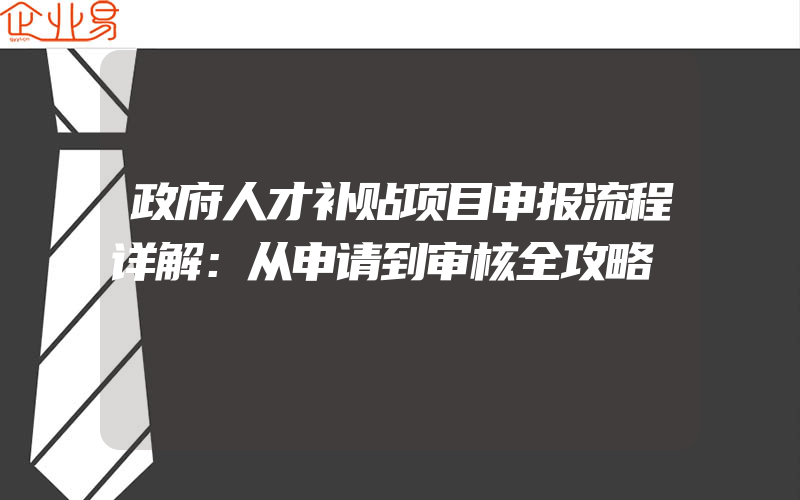 政府人才补贴项目申报流程详解：从申请到审核全攻略