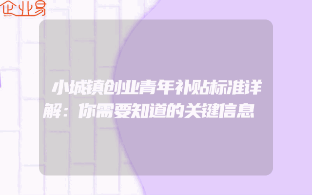 小城镇创业青年补贴标准详解：你需要知道的关键信息