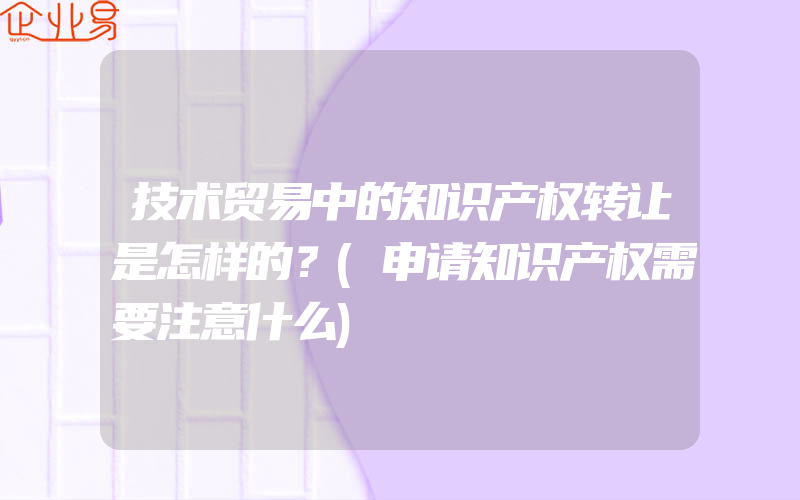 技术贸易中的知识产权转让是怎样的？(申请知识产权需要注意什么)