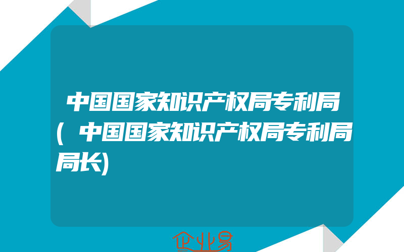 中国国家知识产权局专利局(中国国家知识产权局专利局局长)