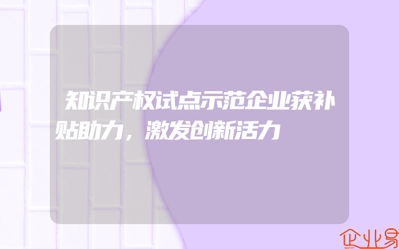 知识产权试点示范企业获补贴助力，激发创新活力