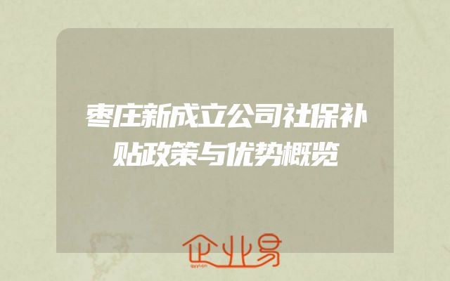 枣庄新成立公司社保补贴政策与优势概览