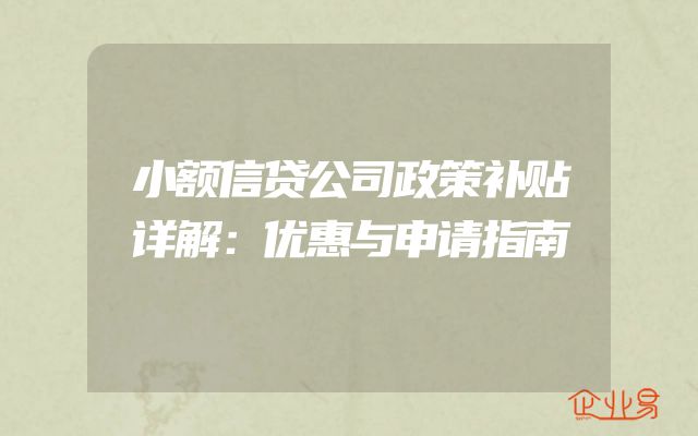 小额信贷公司政策补贴详解：优惠与申请指南
