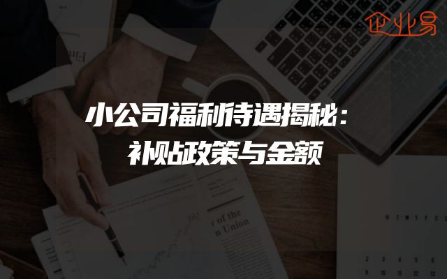 小公司福利待遇揭秘：补贴政策与金额